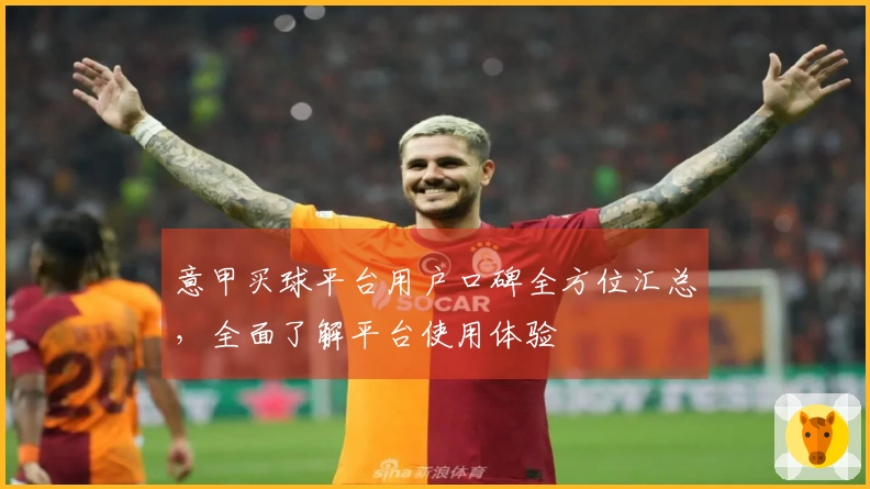 意甲买球平台用户口碑全方位汇总，全面了解平台使用体验