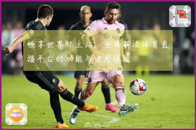 畅享世界杯主站：全面解读体育直播平台的功能与使用体验